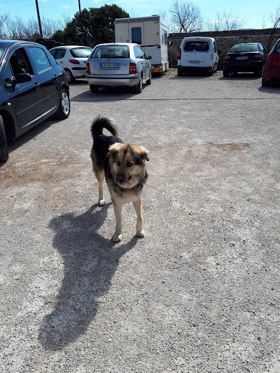 Garage du Theron, Garage Automobile au Cannet-des-Maures