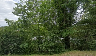 Garage Roy, Garage Automobile à Vézelise