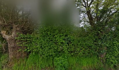 Dkmécanik, Garage Automobile à Mauves-sur-Loire