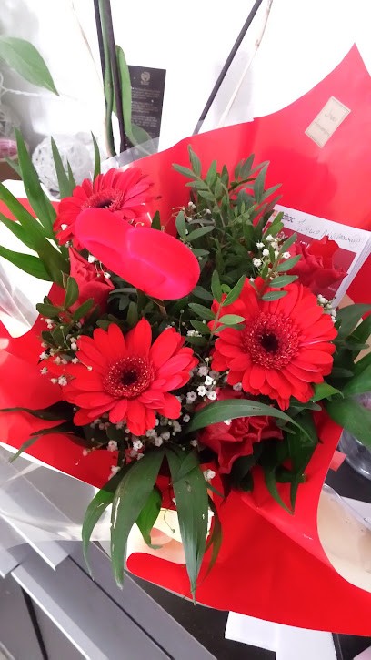 Autos-Motos Services Center, Garage Automobile à Vineuil