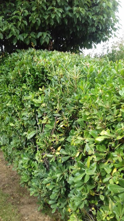 RB Auto83, Garage Automobile à La Crau