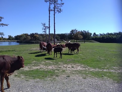 Vidal M.p., Garage Automobile à Seysses