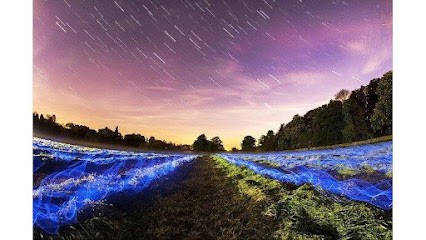 Carrosserie Auto Paris, Garage Automobile à Paris 13