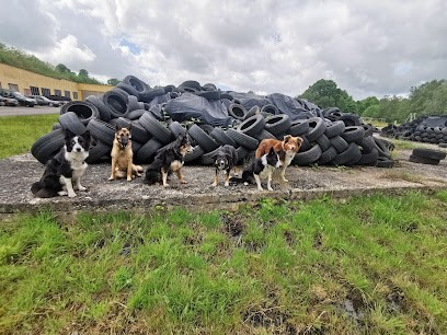 Auto Pneu Second', Garage Automobile à Lécousse