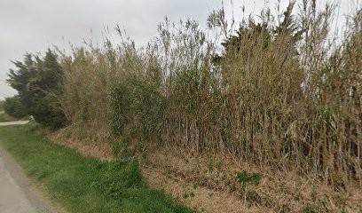 Méca Auto, Garage Automobile à Saint-Laurent-de-la-Salanque