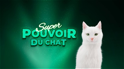 Centre Auto Feu Vert GOLBEY, Garage Automobile à Golbey