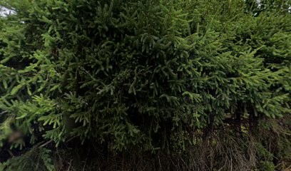 MDB Mécanique, Garage Automobile à Mont-Saxonnex