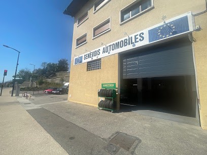 GARAGE DU GENEVOIS SAS NETO, Garage Automobile à Saint-Julien-en-Genevois