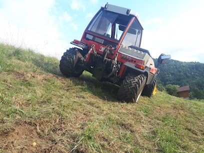 SCMS, Garage Automobile à La Balme-de-Thuy