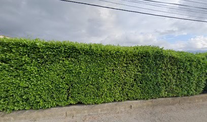 Dusfour Philippe, Garage Automobile à Cazilhac