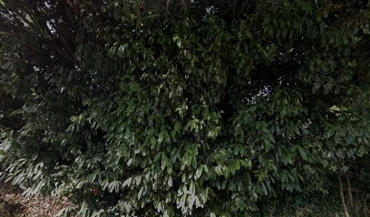 Allo Mecanicien Domicile - Essonne, Garage Automobile à Saulx-les-Chartreux