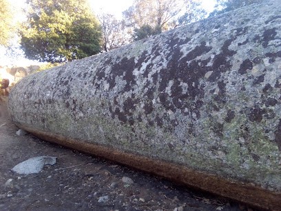 Garage Magnosi Sarl, Garage Automobile à Corbara
