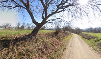 CHRIS, Garage Automobile à Still