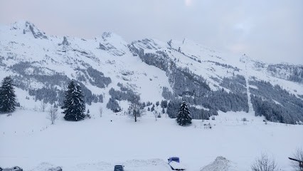 Aravis Voyages Et Taxis, Garage Automobile à La Clusaz