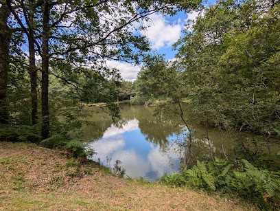 Roumazieres Auto Services, Garage Automobile à Genouillac