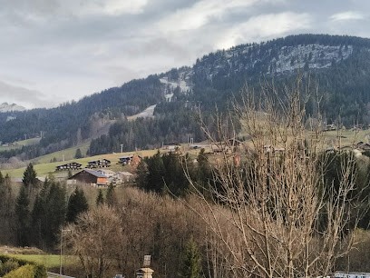 Village Auto Services, Garage Automobile à Praz-sur-Arly