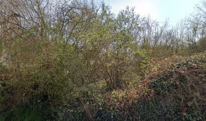 Benaddach Abdallah, Garage Automobile à Laigneville