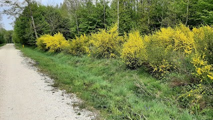 Euromaster Montmirail, Garage Automobile à Montmirail