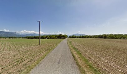 Marion Mécanique, Garage Automobile à Chatte