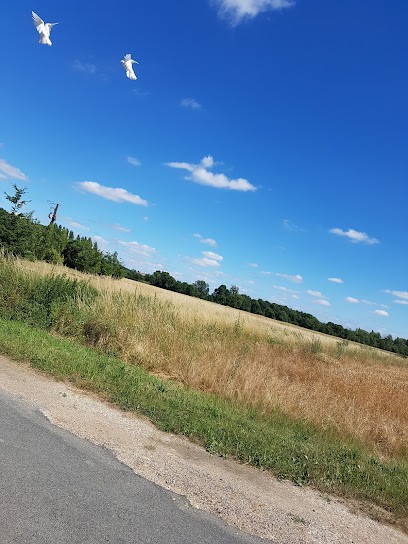 Garage Cordelet, Garage Automobile à Saint-Hilaire-la-Gravelle