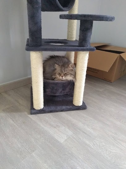 Eurorepar Garage Bourassin, Garage Automobile à Vincey