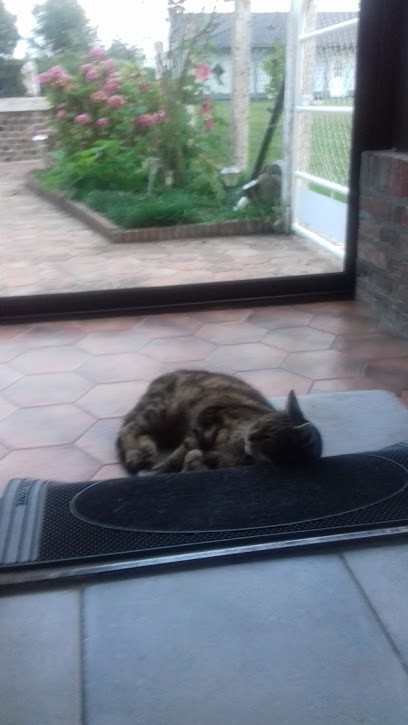 Mecadom, Garage Automobile à Combon