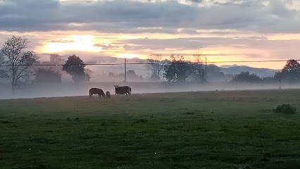 Garage Automeca, Garage Automobile à Mirepoix