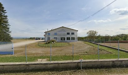 Garage Tholon, Garage Automobile à Miribel