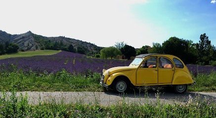 Maison De La 2cv, Garage Automobile à Salignac