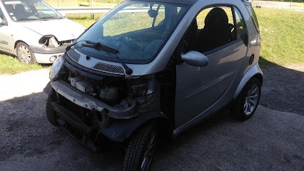 Thaies Joël, Garage Automobile à Theillay