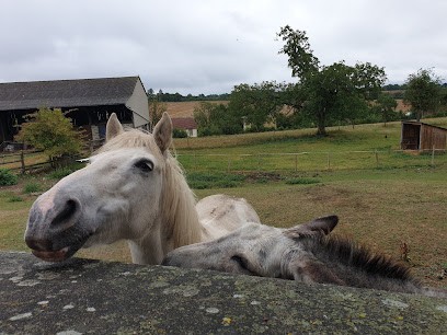 Claude Et Max Villy, Garage Automobile au Merlerault