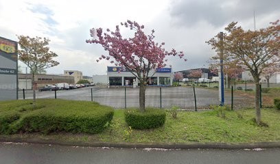 SARL Route 62 Ford, Garage Automobile à Carvin