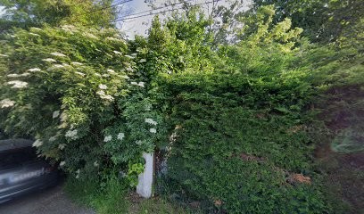 CONTIGNON HERVE, Garage Automobile à Cugnaux