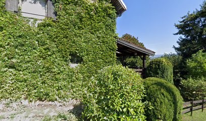 Bellemin Thierry, Garage Automobile à Saint-Albin-de-Vaulserre
