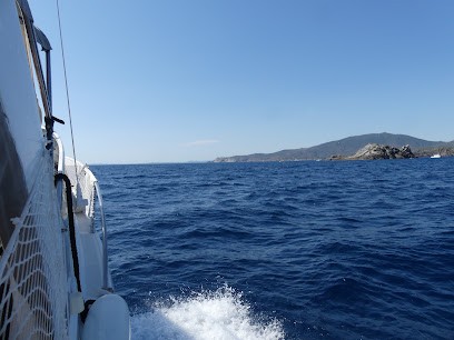 Mecanic Marine, Garage Automobile à Sauvian