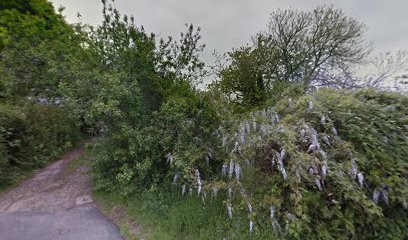 Prost Automobiles Discount, Garage Automobile à Guidel