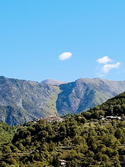 GARAGE DE LANTOSQUE - MJ RC RACING, Garage Automobile à Lantosque