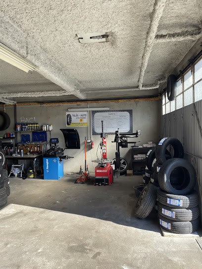 Telis Auto Pneu, Garage Automobile à Saint-Just-Saint-Rambert