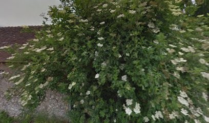 Delanis Gérald, Garage Automobile à Savigné-sur-Lathan