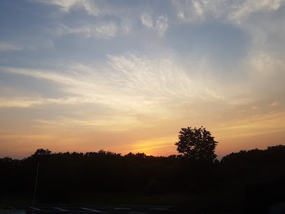 Chaboisson, Garage Automobile à Cheillé