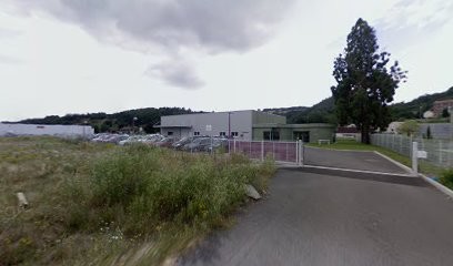 Affutage Samuel, Garage Automobile à La Talaudière