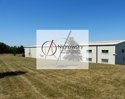 Nigrowsky S.A.R.L., Garage Automobile à Orée d'Anjou