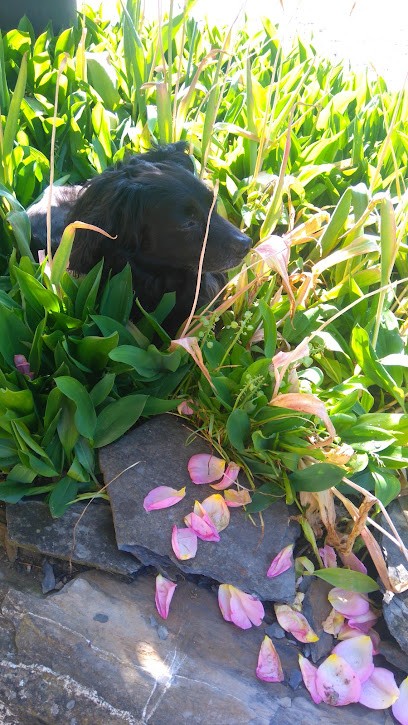 Jacomin Michel, Garage Automobile à Rotherens