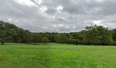 Garage Reparation Automobile - Brax Auto, Garage Automobile à Brax