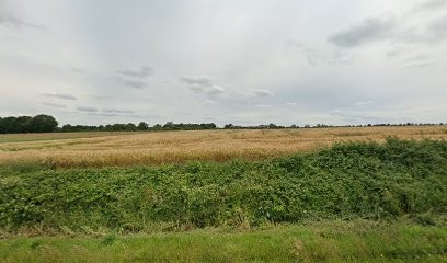 Rien, Garage Automobile à La Chapelle-Bouëxic