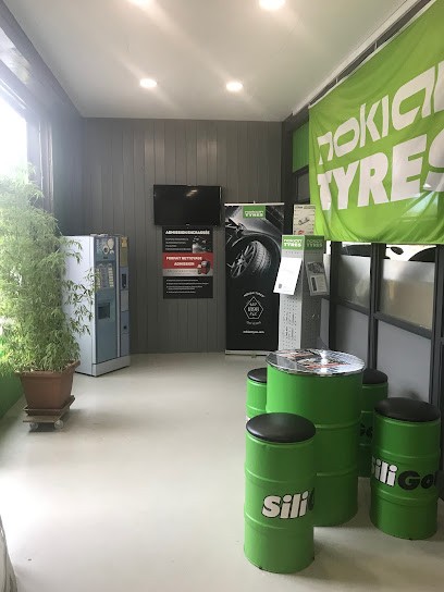 Siligom - Mont Blanc Pneus, Garage Automobile à Domancy