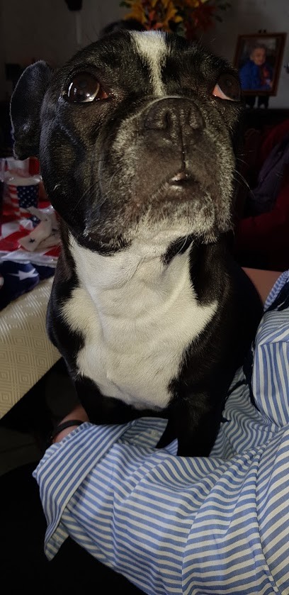 Euromaster Cartier Pneumatiques - Les Andelys, Garage Automobile aux Andelys