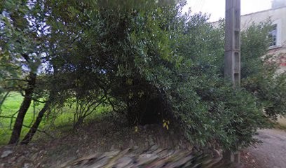 Garage Marc Boyer, Garage Automobile à La Boissière