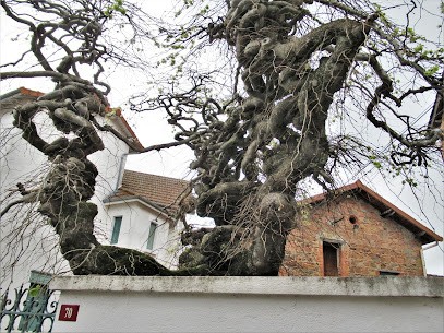 Yann'auto, Garage Automobile à La Gresle