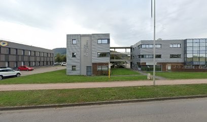 DS SERVICE ST DIE DES VOSGES, Garage Automobile à Saint-Dié-des-Vosges